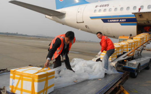 天津国内物流 欢迎咨询「上海航领货物运输代理供应」
